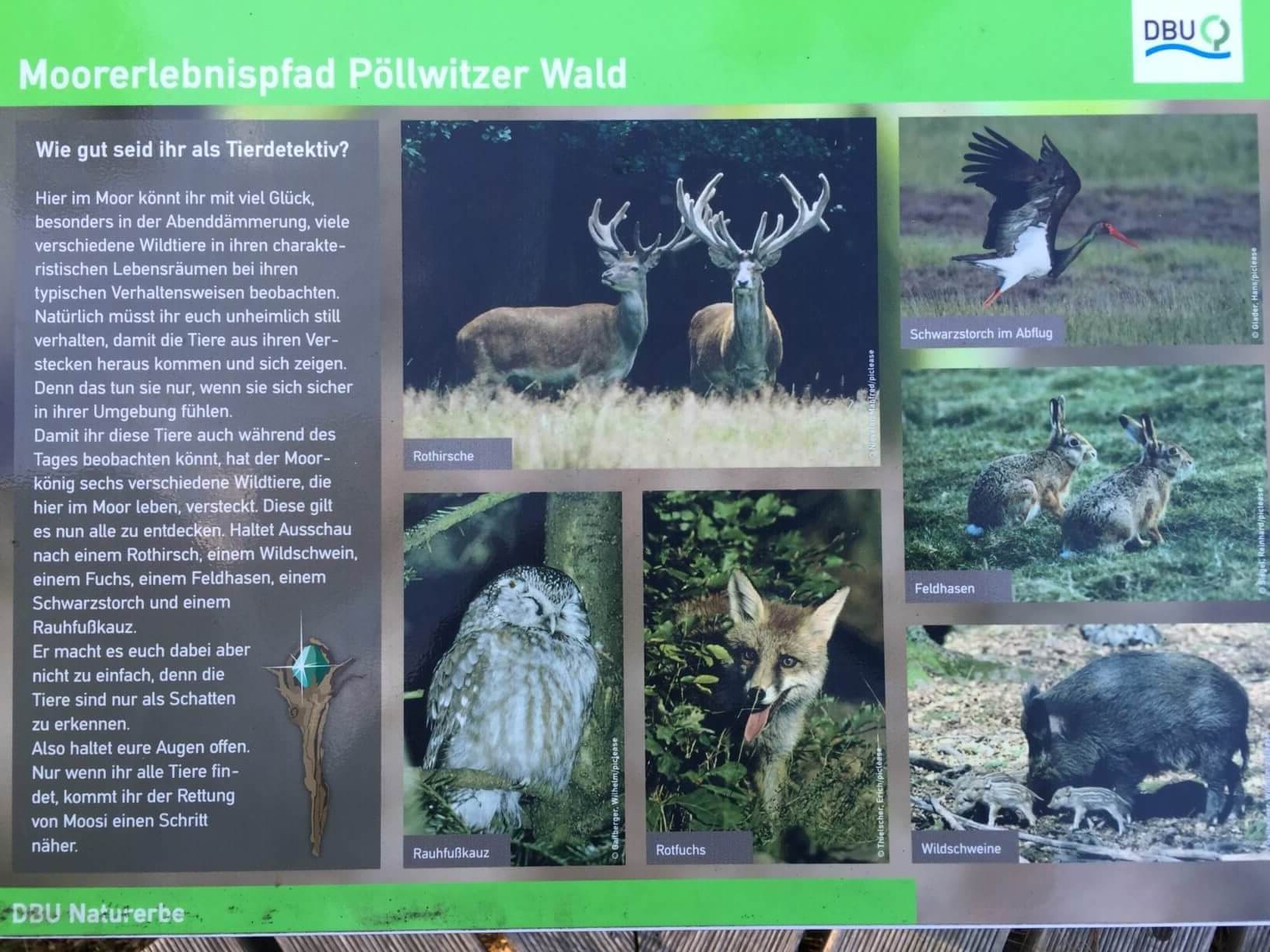 Hotel Ferienwohnung Zeulenroda Niederböhmersdorf Moorerlebnispfad Pöllwitzer Wald, Aufsteller